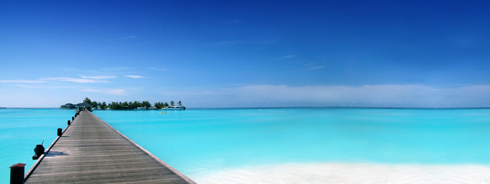 234991-140329144P423