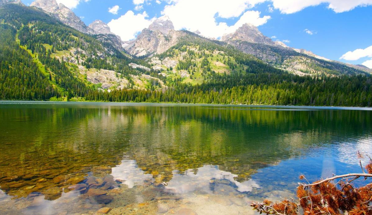 QQ截图20190111153358 QQ截图20190111153358